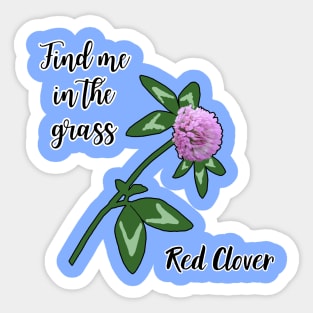 Find me in the grass...Red Clover Sticker